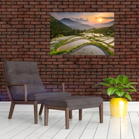 Obraz - Ryžové terasy (90x60 cm)