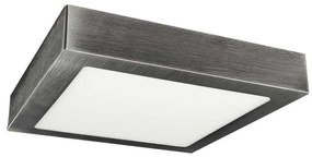 LED Stropné svietidlo FENIX LED/24W/230V 2800K 29,8 cm