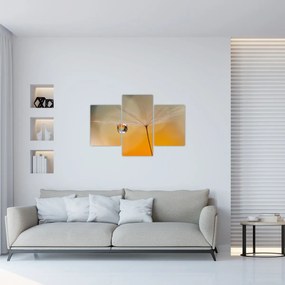 Obraz - Makro kvetu (90x60 cm)