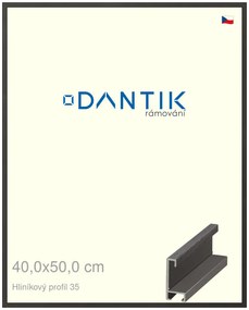DANTIK rám na obraz 40x50 | ALU Dýha černá (Sklo Čiré)