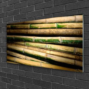 Obraz na skle Bambus rastlina príroda 125x50 cm