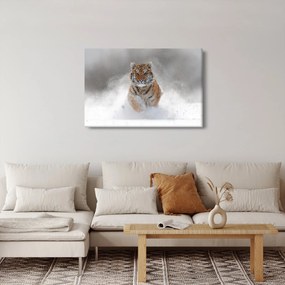 Obraz bežiaceho tigra v snehu (90x60 cm)
