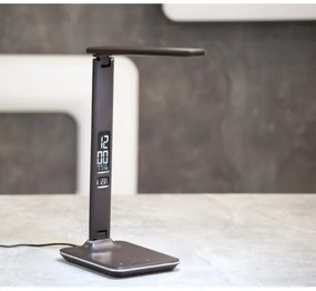 Immax 08930L - LED Stmievateľná stolná lampa KINGFISHER LED/9W/230V/12V