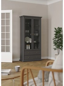 Sivá vitrína 96x201 cm Paris – Tvilum