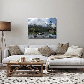 Obraz stromov v jazere (70x50 cm)