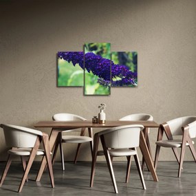 Obraz modrej kvetiny (90x60 cm)