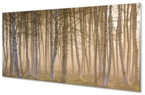 Sklenený obraz Sunrise strom les 120x60 cm