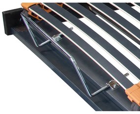 ECOMATRACE  TRIOFLEX Motor Quattro Memory Radio PEVNÝ LAMELOVÝ ROŠT