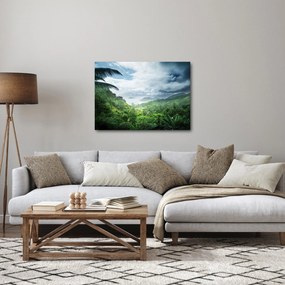 Obraz - Seychelská jungle (70x50 cm)