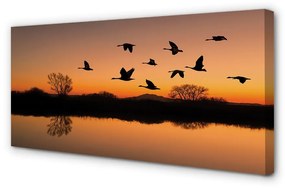 Obraz na plátne Lietajúce vtáky sunset 125x50 cm