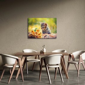 Obraz mačiatka pozerajúce sa na kvetinu (70x50 cm)