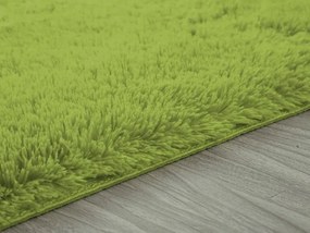 Shaggy koberec Lana v zelenej farbe – obdĺžnikový tvar Rozmer: 120x170 cm
