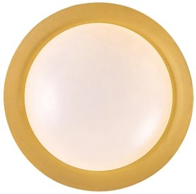 Rabalux 71187 - LED Stropné svietidlo HAFSA LED/24W/230V pr. 40 cm