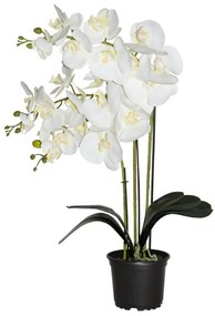 Prémiová umelá orchidea s 3 výhonkami