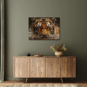Obraz - Portrét tigra vo vode (70x50 cm)