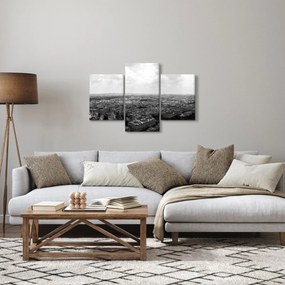 Obraz - Strechy domov v Paríži (90x60 cm)