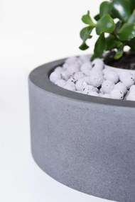 Miska na dekorácie CIRCULO, sklolaminát, Ø 30 cm, sivá