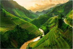 Obraz - Ryžové terasy Mu Cang Chai (90x60 cm)
