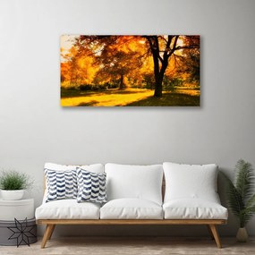Obraz Canvas Stromy jeseň príroda 140x70 cm