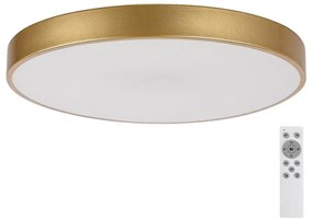Rabalux 71038 -LED Stmievateľné stropné svietidlo TESIA LED/60W/230V 3000-6000K+DO 71038