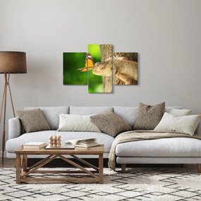 Obraz - Jašter (90x60 cm)