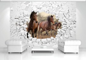 Fototapeta - 3D kone v stene (254x184 cm)