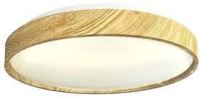 LED Stmievateľné stropné svietidlo OPAL LED/48W/230V 3000-6500K + diaľkové ovládanie