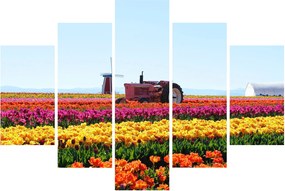 Obraz tulipánové farmy (150x105 cm)