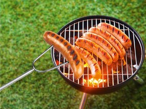 GRILLMEISTER Teleskopické grilovacie ražne, 4 kusy (100350320)