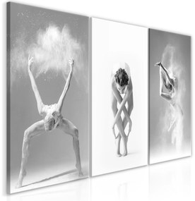 Artgeist Obraz - Ballet (Collection) Veľkosť: 60x30, Verzia: Standard