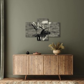 Obraz - Jeleň (90x60 cm)