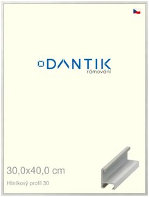 DANTIK rám na obraz 30x40 | ALU Dýha barevná šedá světlá (Plexi Čiré)