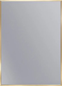 Erga Rectangle, obdĺžnikové zrkadlo 50x70 cm, zlatý rám, ERG-V01-RECTAGLE-5070-GD