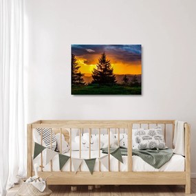 Sklenený obraz - ihličnany (70x50 cm)