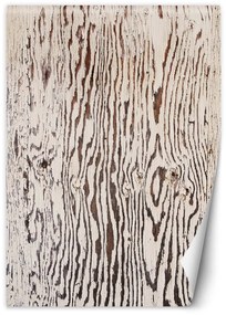 Fototapeta, Dřevěné desky imitující makro - 100x140 cm