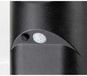 Rabalux 77013 - LED Solárne svietidlo so senzorom SEPIK LED/3,6W/3,7V IP44