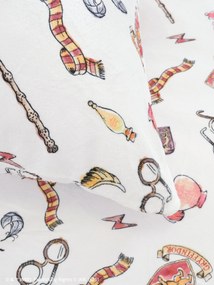 Obliečky mikroplyš Harry Potter - Chrabromil 1