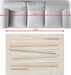 Koberec Stripes II 120x170 cm