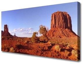 Obraz na plátne Púšť krajina 100x50 cm