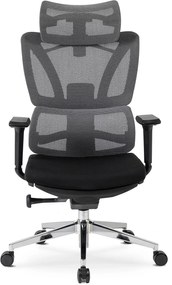 PROXIMA.store - Ergonomické kancelárské kreslo DELSIN