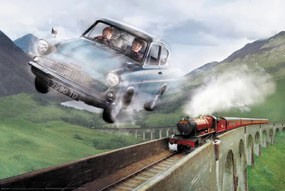 Plagát, Obraz - Harry Potter - Ford