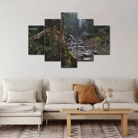 Obraz - V lese (150x105 cm)