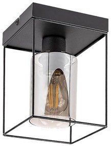 Rabalux 71031 - Stropné svietidlo CHADWICK 1xE27/25W/230V