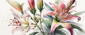 Obraz - Ľalia, ilustrácie (120x50 cm)