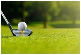 Obraz - Golf (90x60 cm)