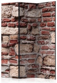 Artgeist Paraván - Vintage Wall [Room Dividers]