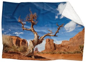 Deka Púšť (Rozmer: 200 x 140 cm, Podšitie baránkom: ÁNO)