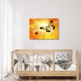 Sklenený obraz - Žltý motýľ s kvetom (70x50 cm)