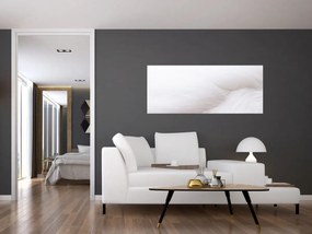 Obraz - Biele pierko (120x50 cm)