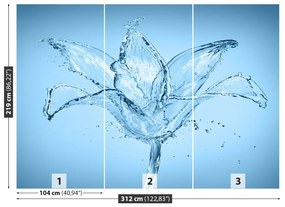 Fototapeta Vliesová Vodný kvet 208x146 cm
